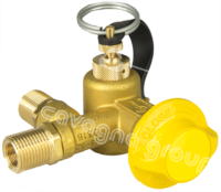 CNG Filling Valves