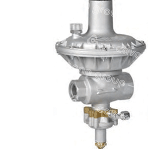 S21 Direct Acting Regulators